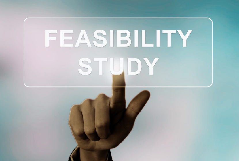 Feasibility Analysis